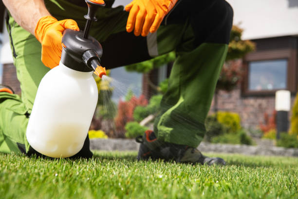Best Termite Control Services  in Mather, CA