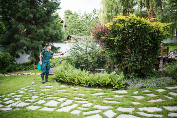 Best Pest Control Near Me  in Mather, CA