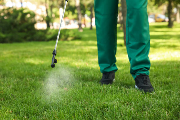 Best Flea Control Services  in Mather, CA