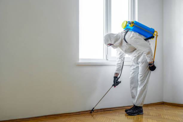Best Pest Control Near Me  in Mather, CA