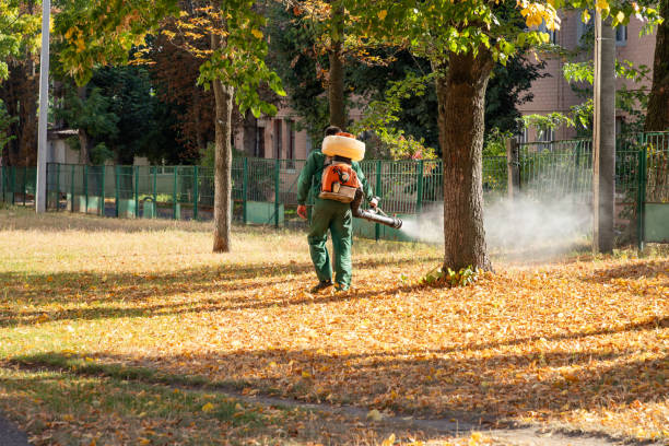 Best Rodent Control Near Me  in Mather, CA