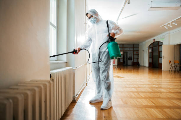 Best Flea Control Services  in Mather, CA