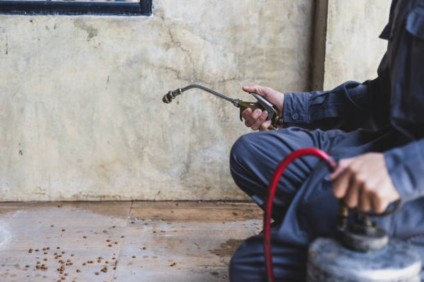 Pest Control Cost in Mather, CA